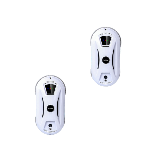 2 X PuRuikai