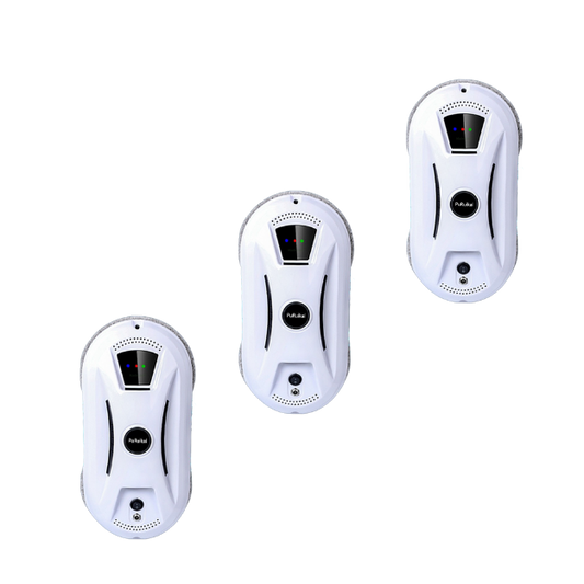 3 X PuRuikai