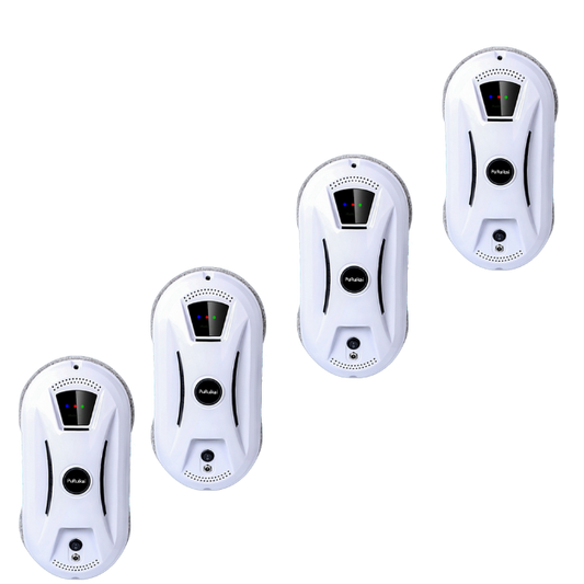 4 X PuRuikai