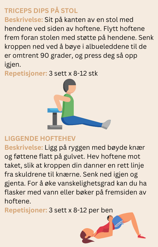 Friske og Energiske foreldre - 16 ukers treningsprogram E-bok